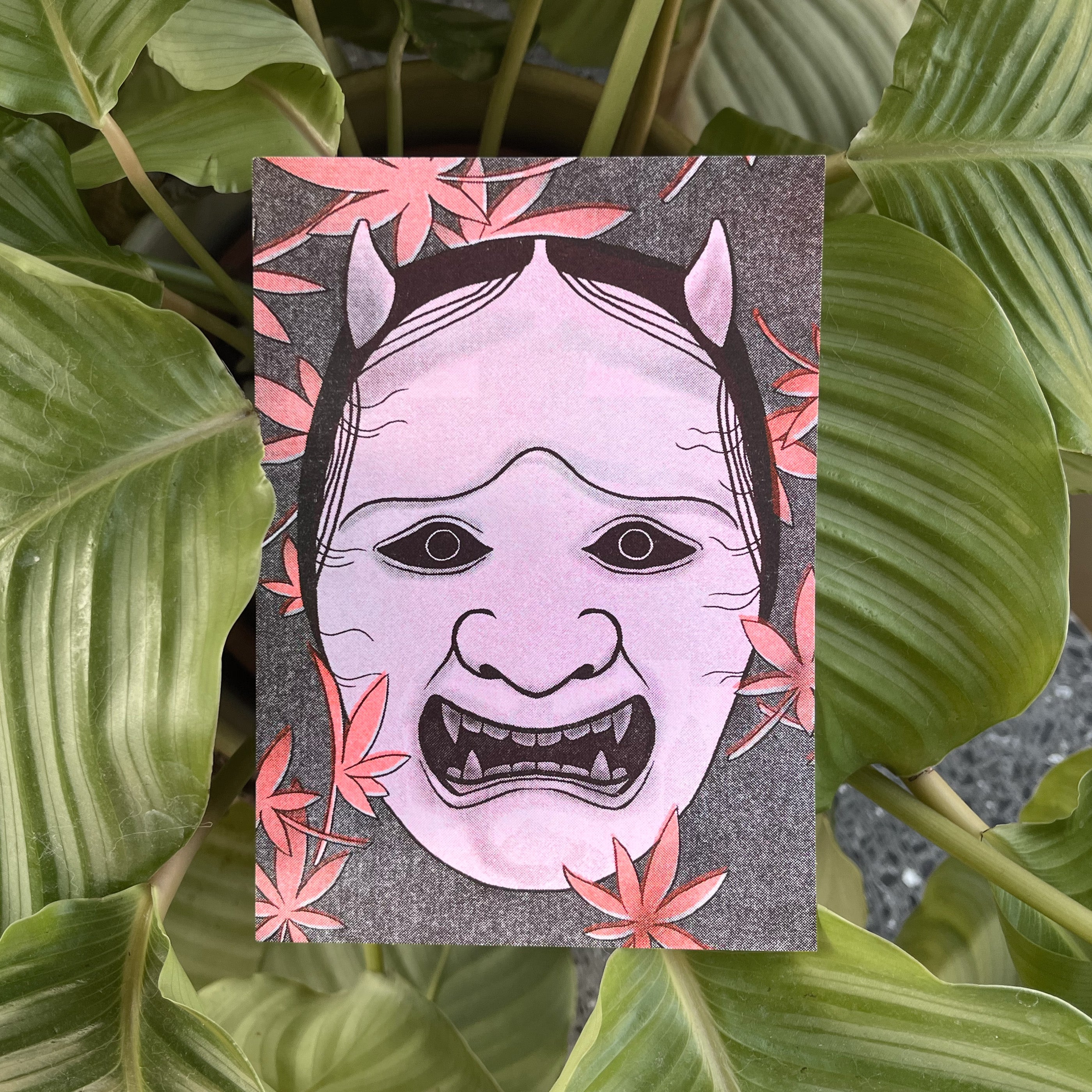 Noh in Bloom